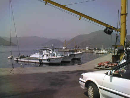 mikiuramacro2000.4.23.jpg (55836 oCg)