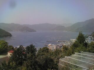 mikiuraview2000.4.23.jpg (51933 oCg)
