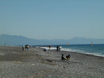headland.jpg (142405 oCg)