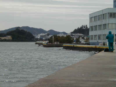 P1010005.jpg (175408 oCg)